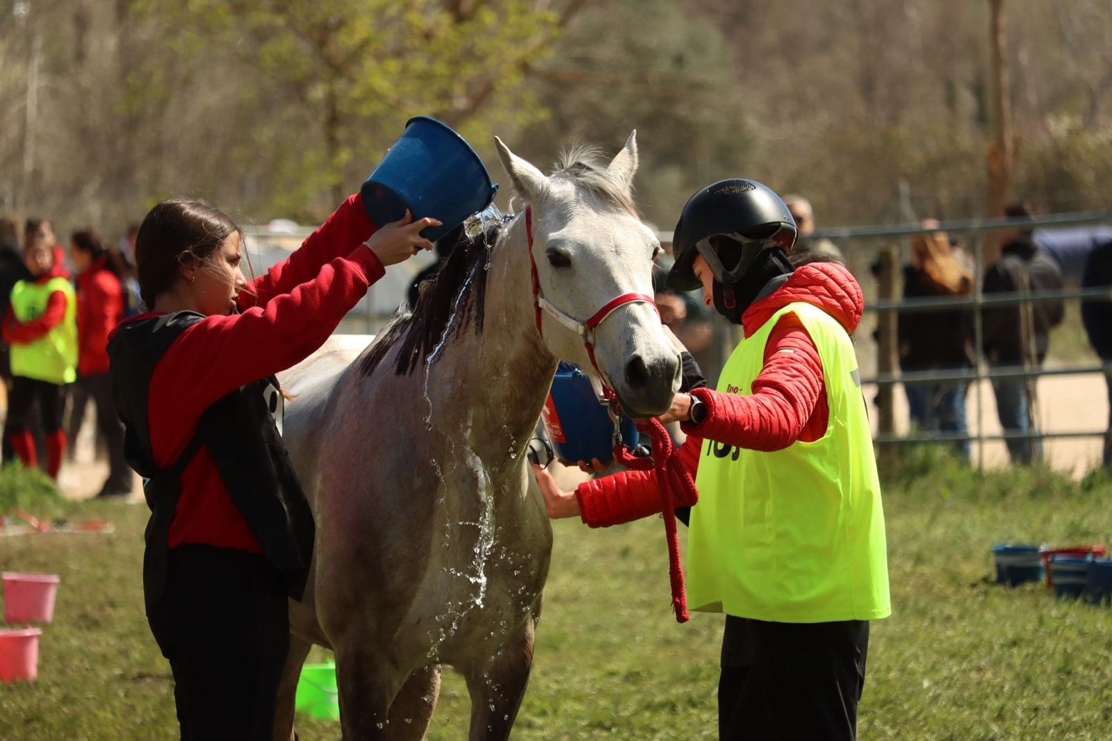Equipo Rojo Raid refrescando a un caballo durante una vuelta veterinaria