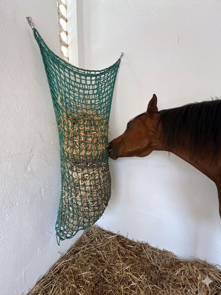 Artículo: Slow Feeding: la revolución silenciosa en la alimentación de nuestros caballos