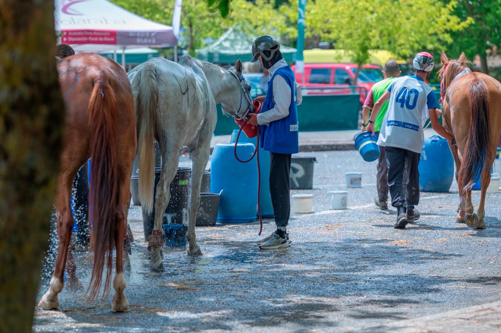 Nacho Torres y Clai, segundos en el CEIYJ1* de Vitoria, en una dura jornada · Fotografía de carrera 2